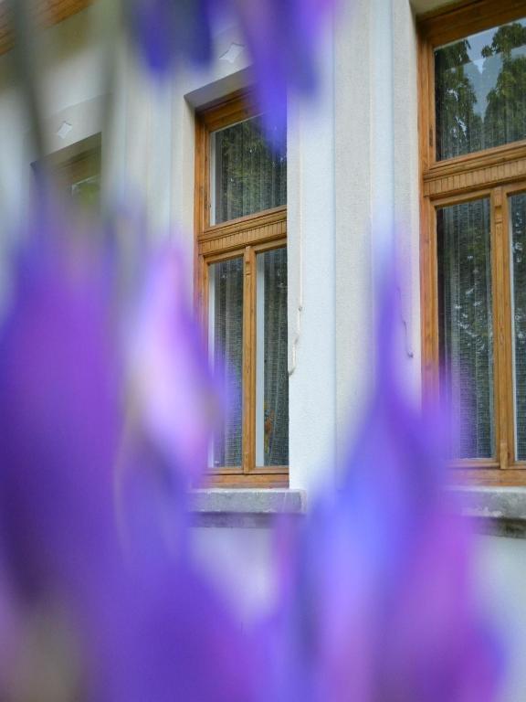 Turjan Vendeghaz Hotel Erdőbénye Eksteriør billede