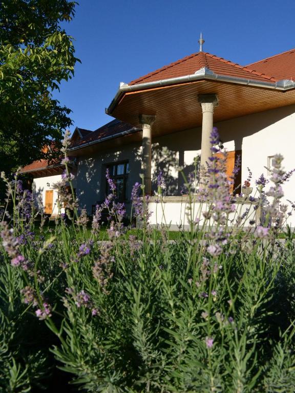 Turjan Vendeghaz Hotel Erdőbénye Eksteriør billede